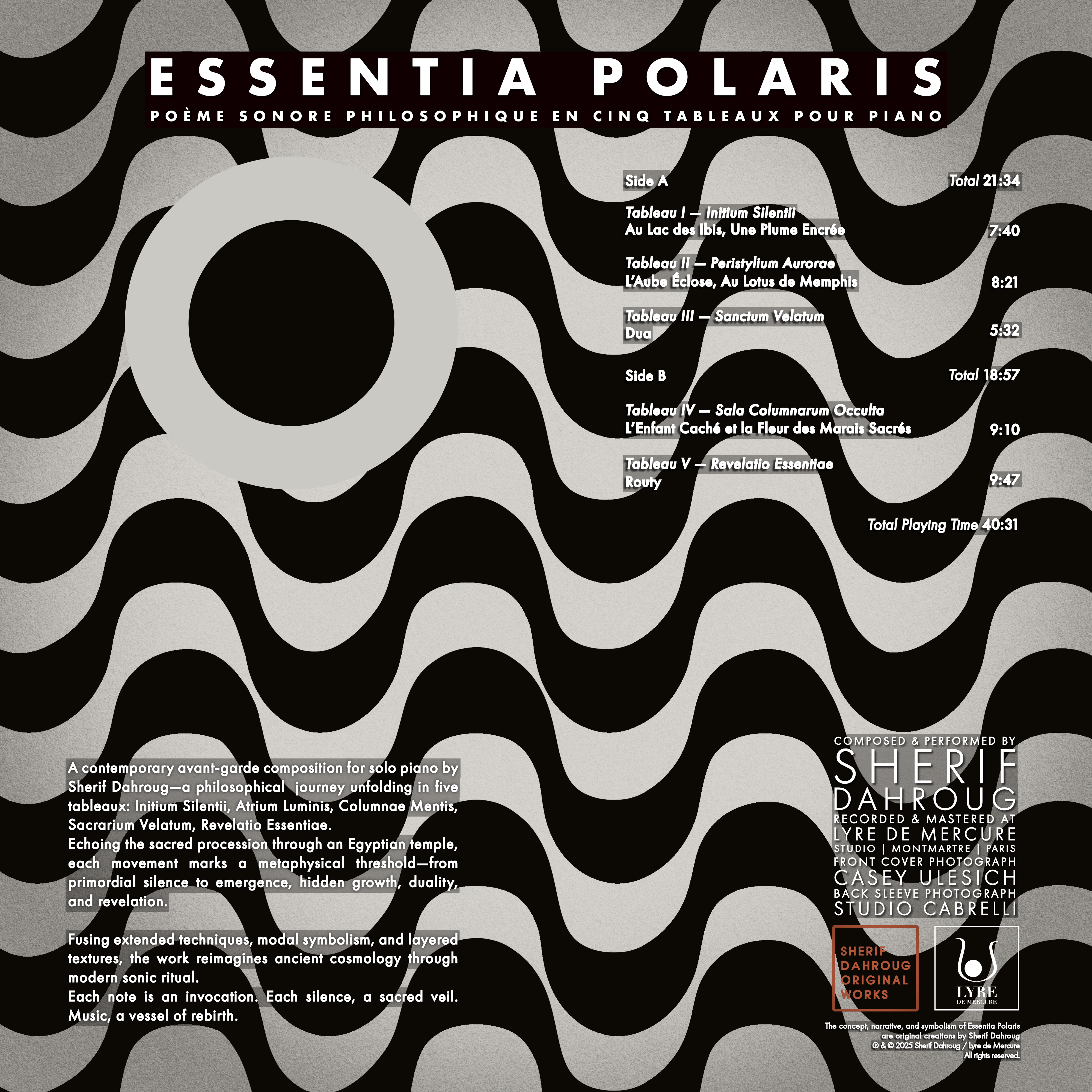 polaris-vinyl-13